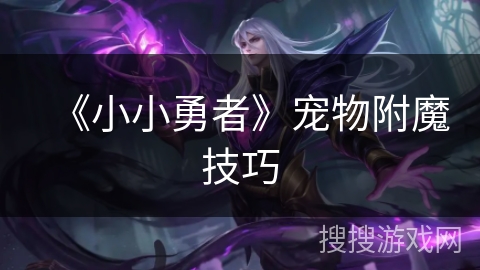 《小小勇者》宠物附魔技巧