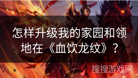 怎样升级我的家园和领地在《血饮龙纹》？