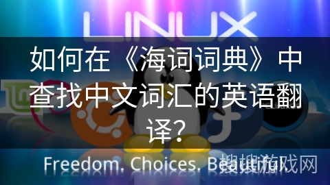 如何在《海词词典》中查找中文词汇的英语翻译？