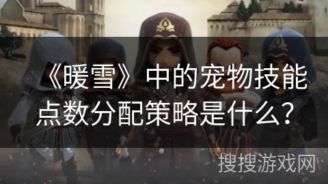 《暖雪》中的宠物技能点数分配策略是什么？