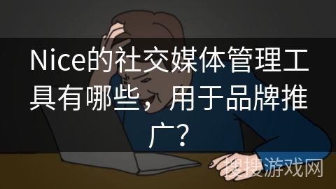 Nice的社交媒体管理工具有哪些，用于品牌推广？