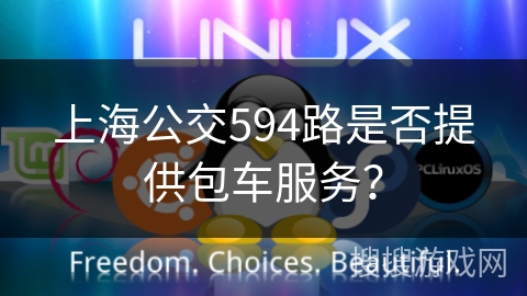 上海公交594路是否提供包车服务？