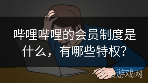 哔哩哔哩的会员制度是什么，有哪些特权？