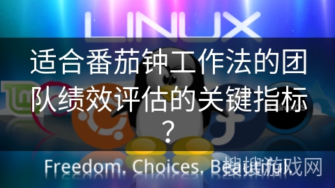 适合番茄钟工作法的团队绩效评估的关键指标？