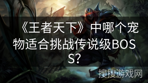 《王者天下》中哪个宠物适合挑战传说级BOSS？