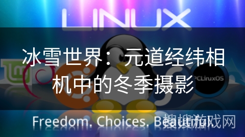 冰雪世界：元道经纬相机中的冬季摄影