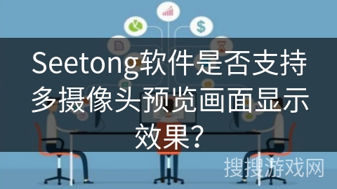 Seetong软件是否支持多摄像头预览画面显示效果？
