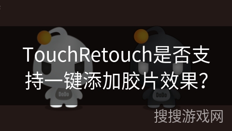 TouchRetouch是否支持一键添加胶片效果？