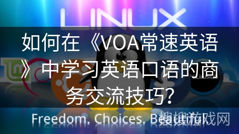 如何在《VOA常速英语》中学习英语口语的商务交流技巧？