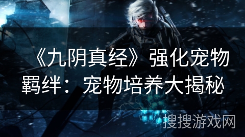 《九阴真经》强化宠物羁绊:宠物培养大揭秘 《九阴真经》强化宠物羁绊:宠物培养大揭秘