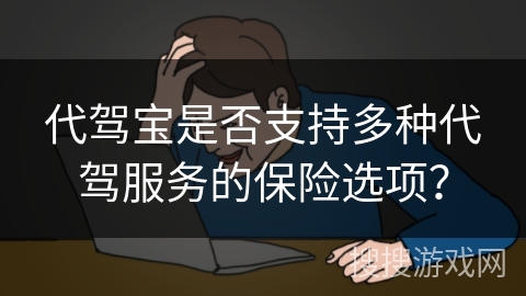 代驾宝是否支持多种代驾服务的保险选项？