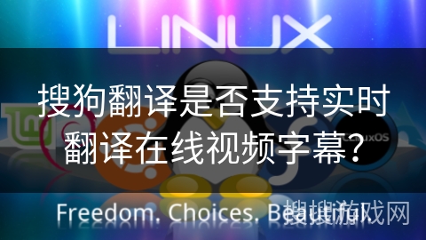 搜狗翻译是否支持实时翻译在线视频字幕？