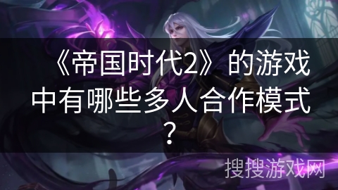 《帝国时代2》的游戏中有哪些多人合作模式？