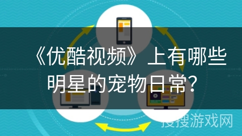 《优酷视频》上有哪些明星的宠物日常？