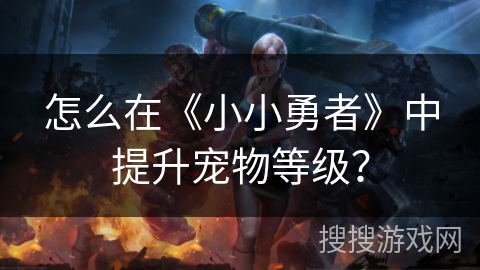 怎么在《小小勇者》中提升宠物等级？