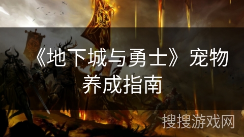 《地下城与勇士》宠物养成指南