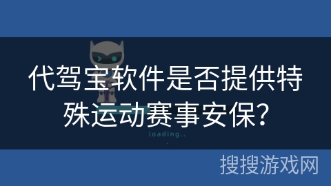 代驾宝软件是否提供特殊运动赛事安保？