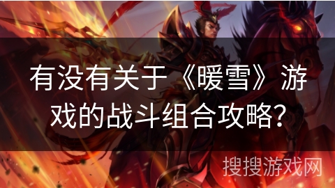 有没有关于《暖雪》游戏的战斗组合攻略？