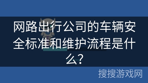 网路出行公司的车辆安全标准和维护流程是什么？