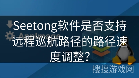 Seetong软件是否支持远程巡航路径的路径速度调整？