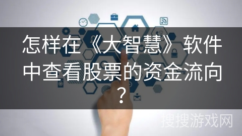 怎样在《大智慧》软件中查看股票的资金流向？