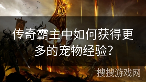 传奇霸主中如何获得更多的宠物经验？