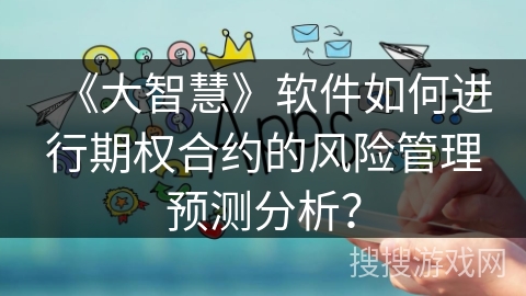 《大智慧》软件如何进行期权合约的风险管理预测分析？