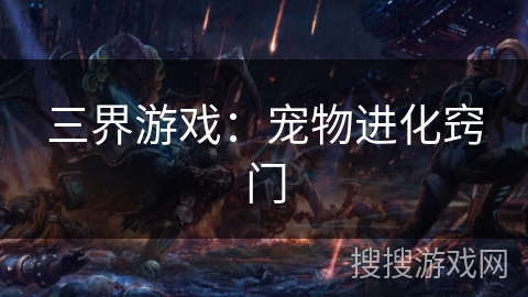 三界游戏：宠物进化窍门