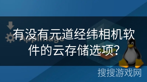 有没有元道经纬相机软件的云存储选项？