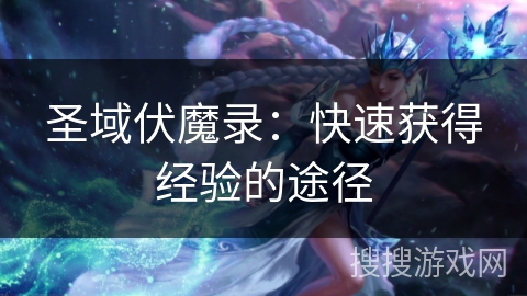 圣域伏魔录：快速获得经验的途径