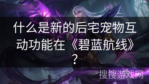 什么是新的后宅宠物互动功能在《碧蓝航线》？