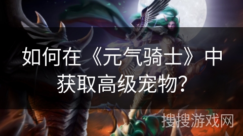 如何在《元气骑士》中获取高级宠物？