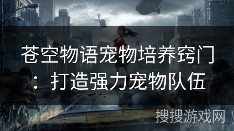 苍空物语宠物培养窍门：打造强力宠物队伍