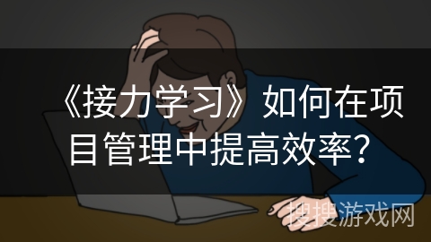 《接力学习》如何在项目管理中提高效率? 《接力学习》如何在项目管理中提高效率?
