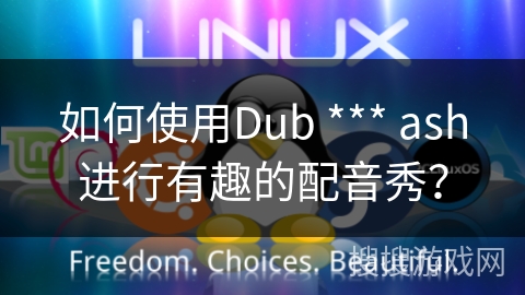如何使用Dub *** ash进行有趣的配音秀？