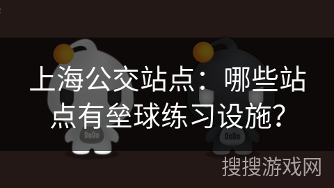 上海公交站点：哪些站点有垒球练习设施？