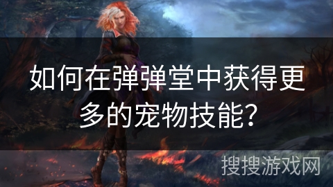 如何在弹弹堂中获得更多的宠物技能？