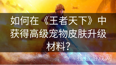 如何在《王者天下》中获得高级宠物皮肤升级材料？