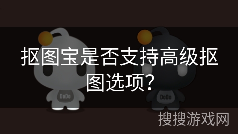 抠图宝是否支持高级抠图选项? 抠图宝是否支持高级抠图选项?