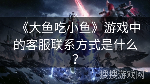 《大鱼吃小鱼》游戏中的客服联系方式是什么？