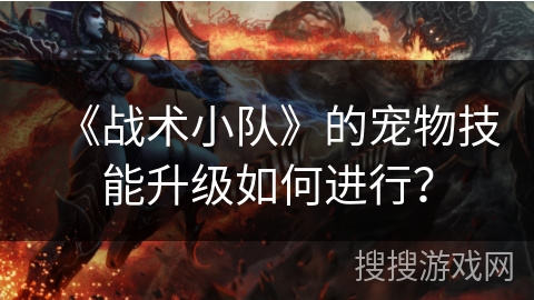 《战术小队》的宠物技能升级如何进行？