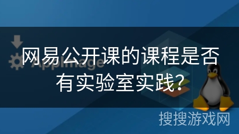 网易公开课的课程是否有实验室实践？