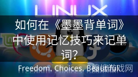 如何在《墨墨背单词》中使用记忆技巧来记单词？