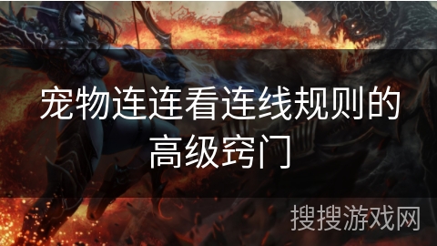 宠物连连看连线规则的高级窍门 宠物连连看连线规则的高级窍门