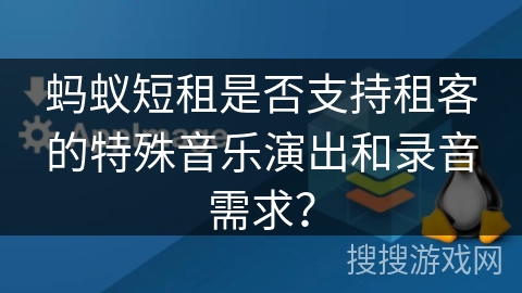 蚂蚁短租是否支持租客的特殊音乐演出和录音需求？