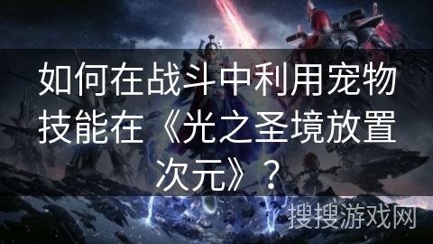 如何在战斗中利用宠物技能在《光之圣境放置次元》？