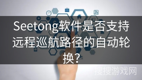Seetong软件是否支持远程巡航路径的自动轮换？