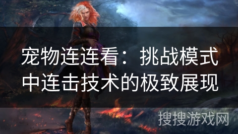 宠物连连看：挑战模式中连击技术的极致展现
