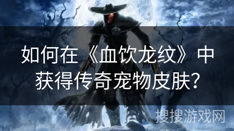 如何在《血饮龙纹》中获得传奇宠物皮肤？