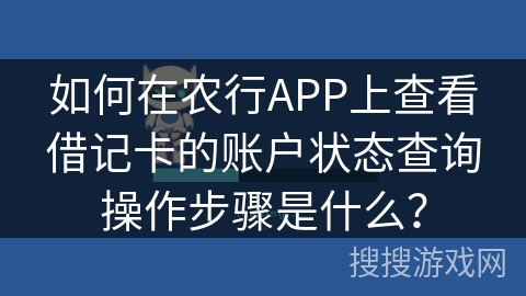 如何在农行APP上查看借记卡的账户状态查询操作步骤是什么？